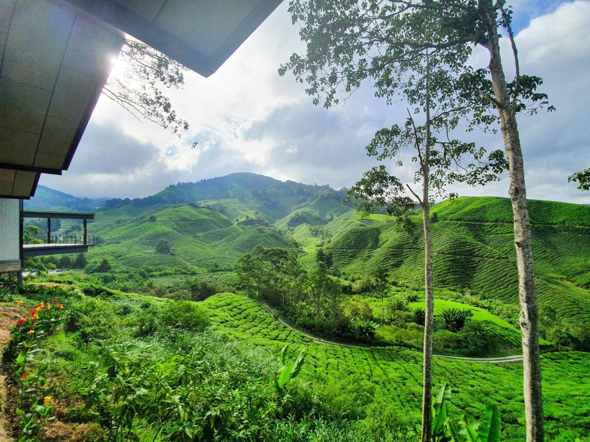 Mossy Forest Family Retreat Ii, 2-8 Pax, Cameron Highlands Kültér fotó